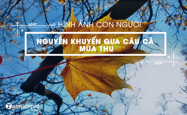 cam nhan ve con nguoi nguyen khuyen qua cau ca mua thu