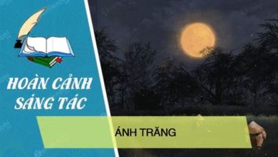 hoan canh sang tac bai anh trang 390x220 1 hoan canh sang tac bai anh trang 390x220 1