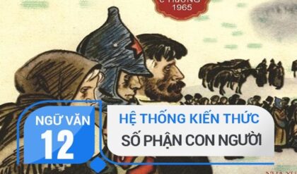 kien thuc bai so phan con nguoi so lo khop rs650 kien thuc bai so phan con nguoi so lo khop rs650