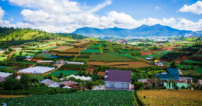 mieu ta da lat mieu ta da lat