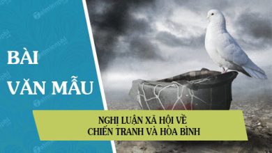 nghi luan xa hoi ve chien tranh va hoa binh 390x220 1 nghi luan xa hoi ve chien tranh va hoa binh 390x220 1