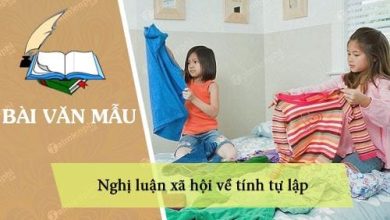 nghi luan xa hoi ve tinh tu lap 390x220 1 nghi luan xa hoi ve tinh tu lap 390x220 1