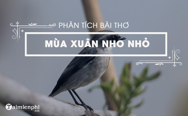 phan tich mua xuan nho nho cua thanh hai ngan