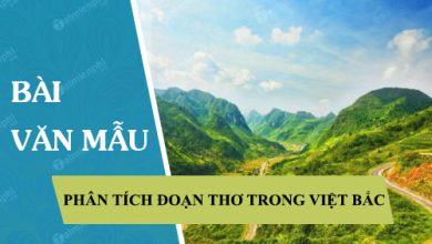 phan tich doan tho trong bai viet bac 390x220 1 phan tich doan tho trong bai viet bac 390x220 1