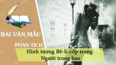 phan tich hinh tuong be li cop trong nguoi trong bao 390x220 1 phan tich hinh tuong be li cop trong nguoi trong bao 390x220 1