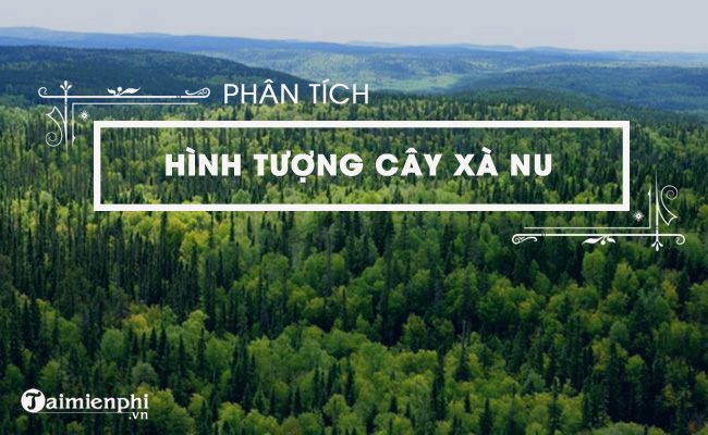 phan tich hinh tuong cay xa nu