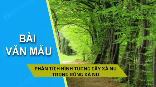 phan tich hinh tuong cay xa nu trong rung xa nu