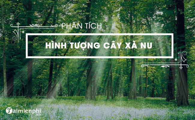 phan tich hinh tuong cay xa nu hay nhat