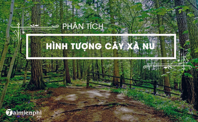 phan tich hinh tuong cay xa nu trong truyen ngan rung xa nu