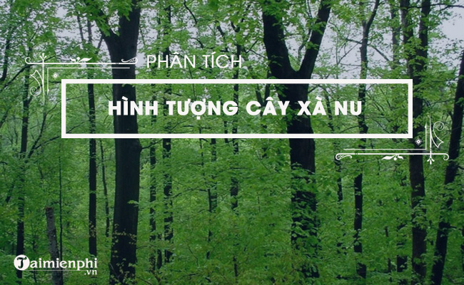 phan tich hinh tuong rung xa nu trong truyen ngan cung ten cua nguyen trung thanh