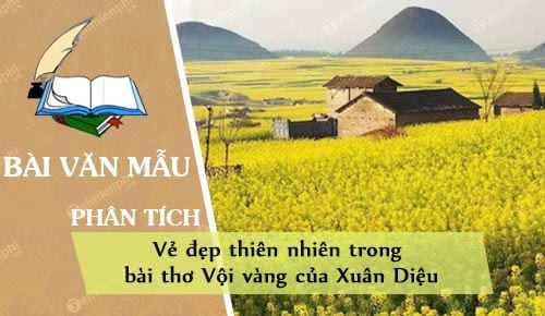 phan tich ve dep thien nhien trong bai tho voi vang cua xuan dieu