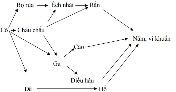 sinh hoc 9 sinh hoc 9