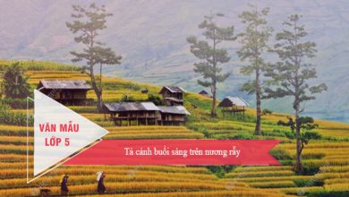 ta canh buoi sang tren nuong ray 390x220 1 ta canh buoi sang tren nuong ray 390x220 1