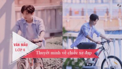 thuyet minh ve chiec xe dap 390x220 1 thuyet minh ve chiec xe dap 390x220 1