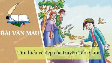 tim hieu ve dep cua truyen tam cam 390x220 1 tim hieu ve dep cua truyen tam cam 390x220 1