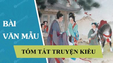 tom tat truyen kieu 390x220 1 tom tat truyen kieu 390x220 1