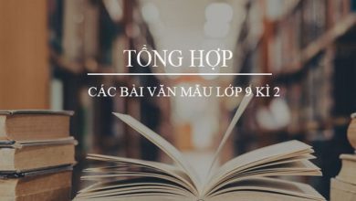 tong hop cac bai van mau lop 9 ki 2 390x220 1 tong hop cac bai van mau lop 9 ki 2 390x220 1