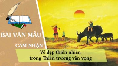 ve dep thien nhien trong thien truong van vong 390x220 1 ve dep thien nhien trong thien truong van vong 390x220 1