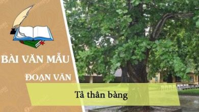 viet doan van ngan ta than bang 390x220 1 viet doan van ngan ta than bang 390x220 1