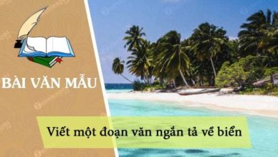 viet mot doan van ngan ta ve bien 390x220 1 viet mot doan van ngan ta ve bien 390x220 1