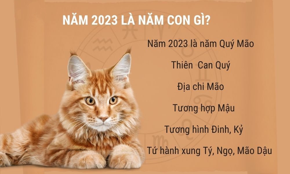 13162812 1 nam 2023 la nam quy mao 13162812 1 nam 2023 la nam quy mao