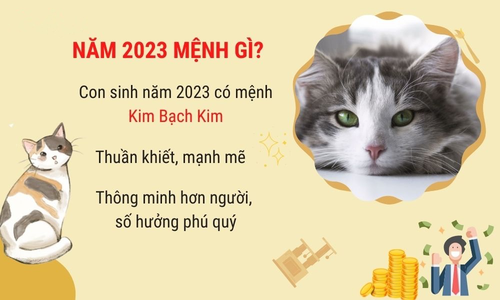 13162900 2 nam 2023 thuoc menh kim bach kim 13162900 2 nam 2023 thuoc menh kim bach kim