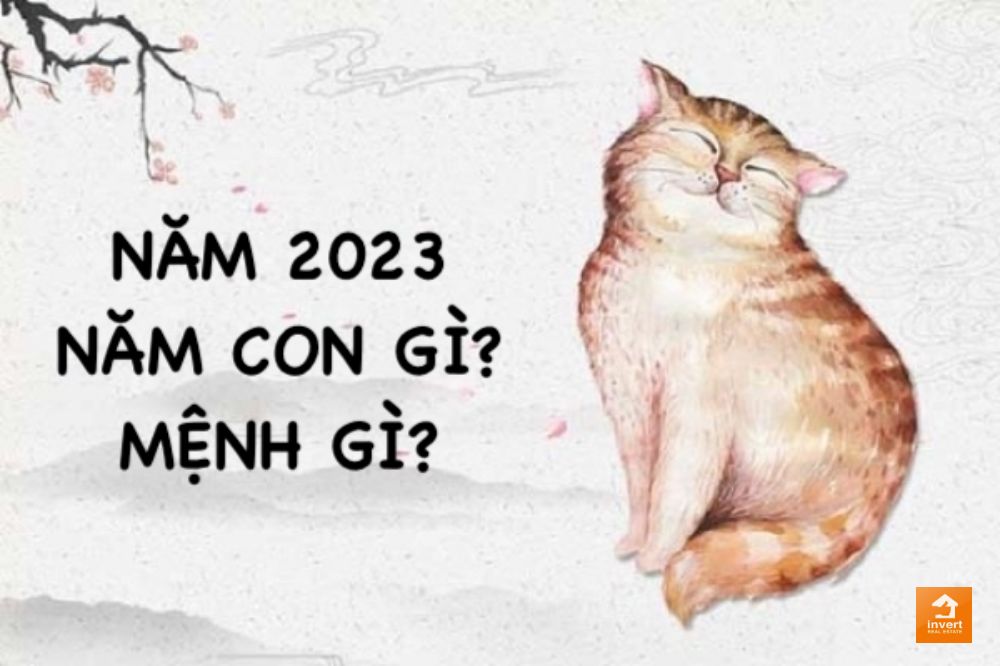 20220529 1 nam 2024 la nam con gi 20220529 1 nam 2024 la nam con gi