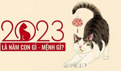 Nam 2023 la nam con gi Menh gi Tuoi Quy Nam 2023 la nam con gi Menh gi Tuoi Quy