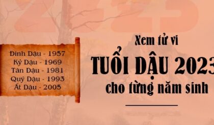 Tu vi tuoi Dau 2023 Tai loc Su nghiep Tu vi tuoi Dau 2023 Tai loc Su nghiep