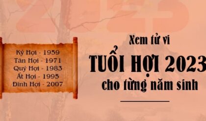 Tu vi tuoi Hoi 2023 Tai loc Su nghiep Tu vi tuoi Hoi 2023 Tai loc Su nghiep