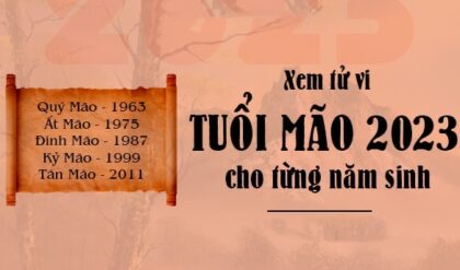 Tu vi tuoi Mao 2023 Tai loc Su nghiep Tu vi tuoi Mao 2023 Tai loc Su nghiep