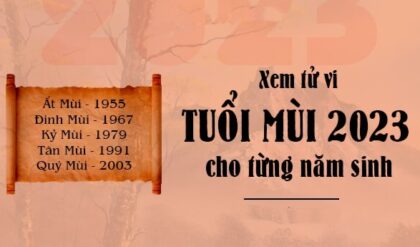 Tu vi tuoi Mui 2023 Tai loc Su nghiep Tu vi tuoi Mui 2023 Tai loc Su nghiep