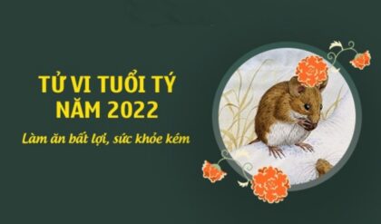 Tu vi tuoi Ty nam 2022 Su nghiep Suc Tu vi tuoi Ty nam 2022 Su nghiep Suc