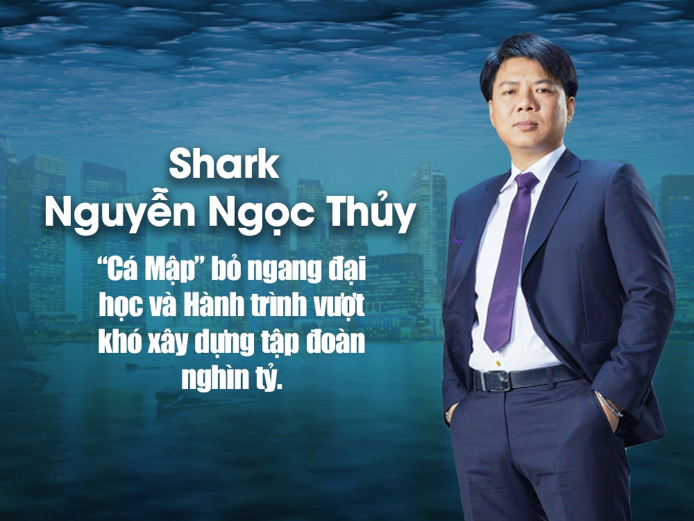 06094542 shark thuy 06094542 shark thuy