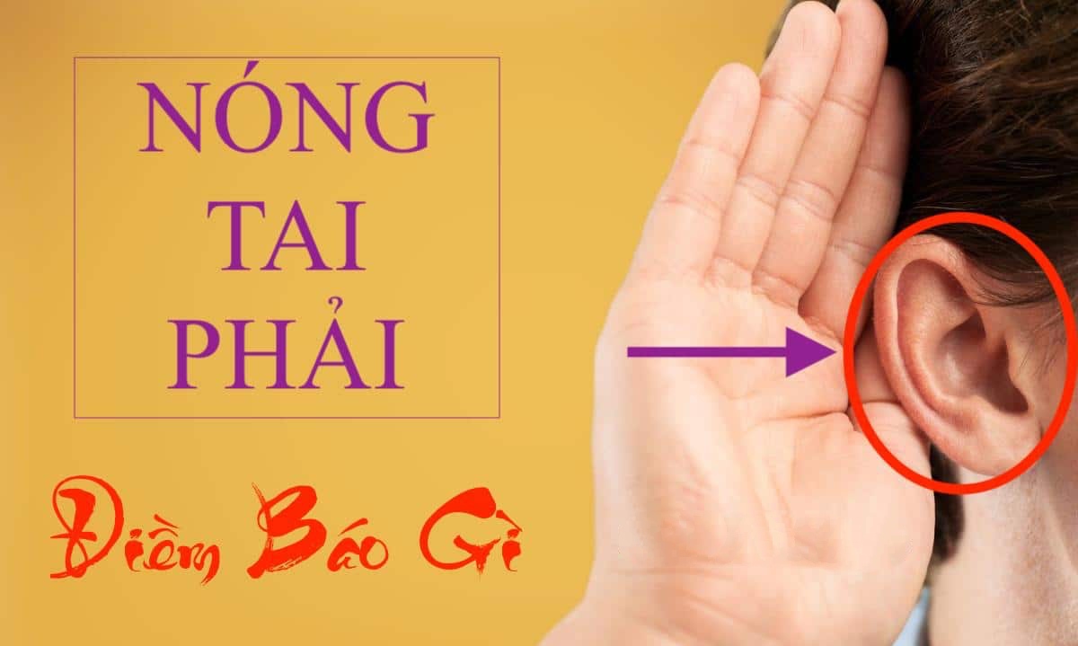 11171539 2 nong tai phai 11171539 2 nong tai phai