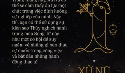 Cung Xu Nu 238 229 Tinh cach Su nghiep Cung Xu Nu 238 229 Tinh cach Su nghiep