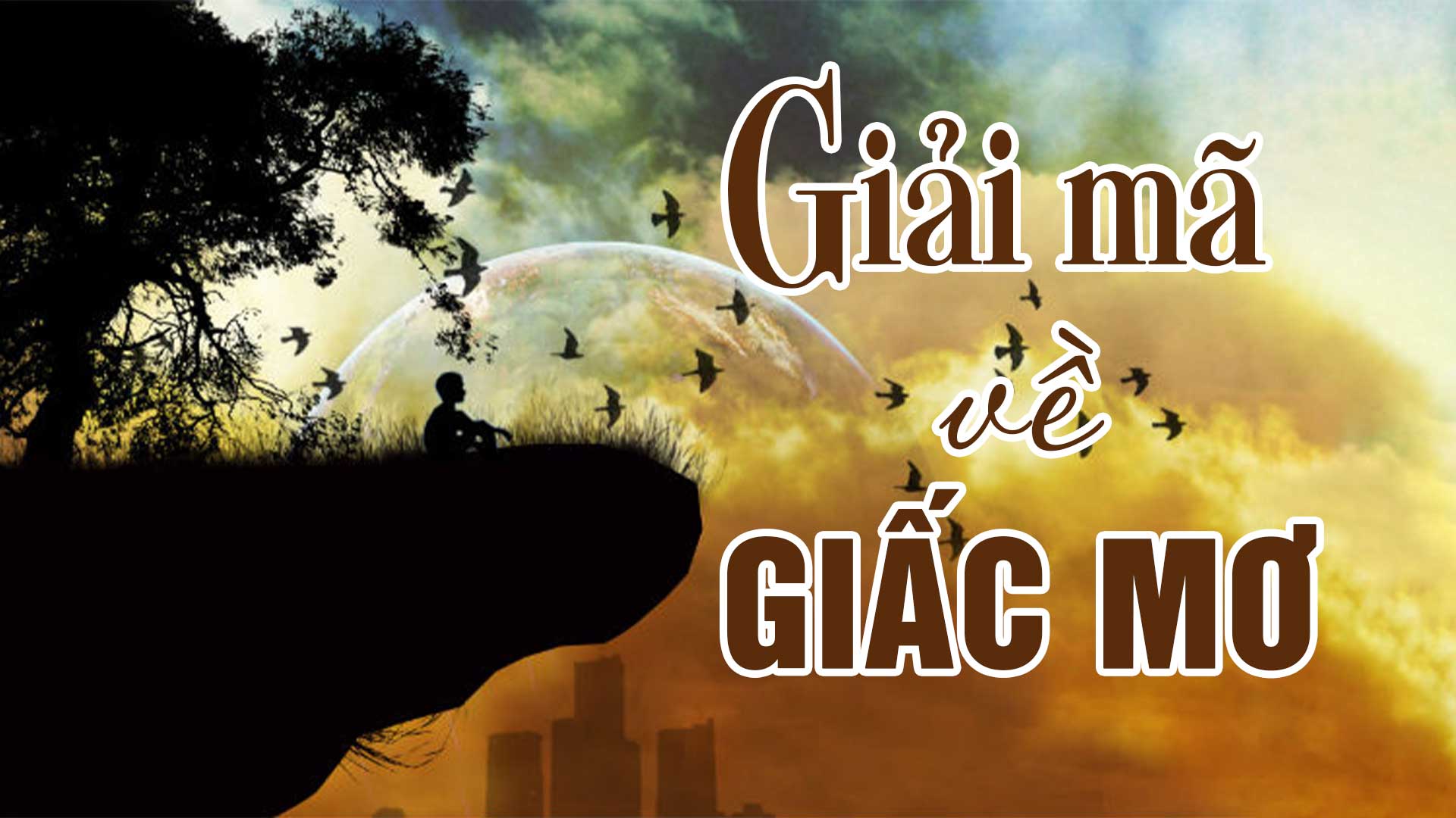 03170242 giai ma giac mo 03170242 giai ma giac mo