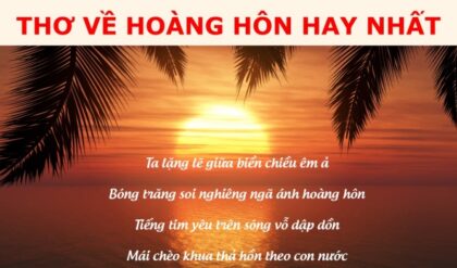 1001 Bai tho ve hoang hon hay tam trang day 1001 Bai tho ve hoang hon hay tam trang day