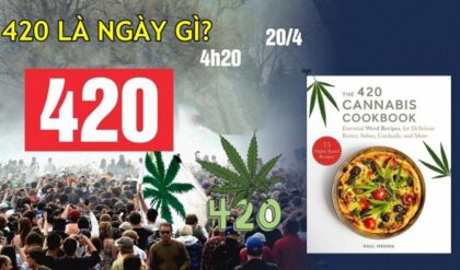 420 la ngay gi Nguon goc y nghia dac 420 la ngay gi Nguon goc y nghia dac