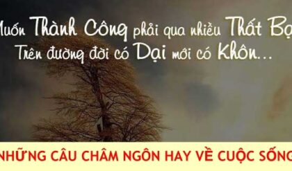 9999 Nhung cau cham ngon hay ve cuoc song dang 9999 Nhung cau cham ngon hay ve cuoc song dang