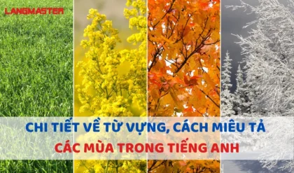 CHI TIET VE TU VUNG CACH MIEU TA CAC MUA.webp CHI TIET VE TU VUNG CACH MIEU TA CAC MUA.webp