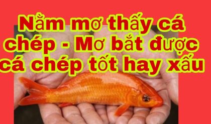 Nam mo thay ca chep la diem gi lanh hay Nam mo thay ca chep la diem gi lanh hay