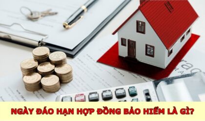 Ngay dao han hop dong bao hiem la gi Thu Ngay dao han hop dong bao hiem la gi Thu