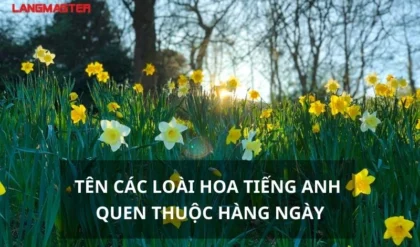 TEN CAC LOAI HOA TIENG ANH QUEN THUOC HANG NGAY.webp TEN CAC LOAI HOA TIENG ANH QUEN THUOC HANG NGAY.webp