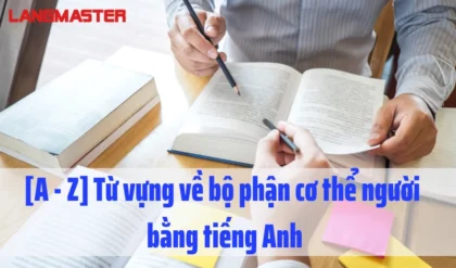 Z TU VUNG VE BO PHAN CO THE NGUOI BANG.webp Z TU VUNG VE BO PHAN CO THE NGUOI BANG.webp