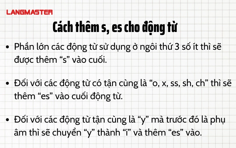 dong tu trong tieng anh 3.webp dong tu trong tieng anh 3.webp