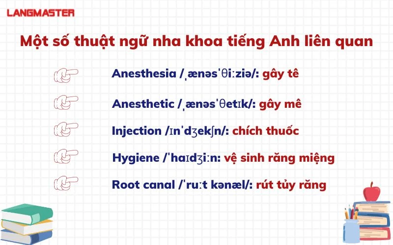 tieng anh nha khoa va nhung thuat ngu chuyen nganh ban can biet 2.webp tieng anh nha khoa va nhung thuat ngu chuyen nganh ban can biet 2.webp