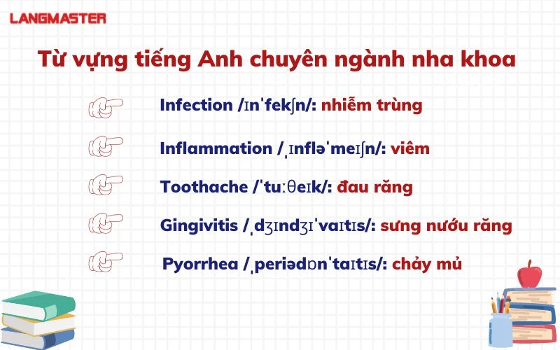 tieng anh nha khoa va nhung thuat ngu chuyen nganh ban can biet 3.webp tieng anh nha khoa va nhung thuat ngu chuyen nganh ban can biet 3.webp