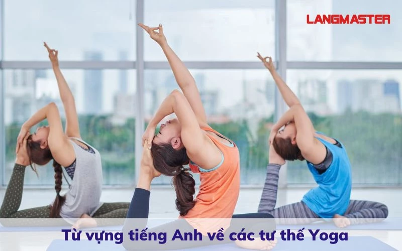 tu vung tieng anh chu de yoga 3.webp tu vung tieng anh chu de yoga 3.webp