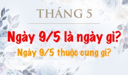 Ngay 95 la ngay gi Ngay 95 thuoc cung gi Ngay 95 la ngay gi Ngay 95 thuoc cung gi